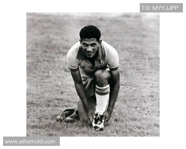 美洲足球历史十大传奇球星精彩集锦与影响力解析